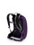 VIOLAC PURPLE|VIOLAC PURPLE|ALT
