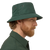 Evergreen|Vert éternel|ALT