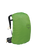 Succulent Green|Succulent Green|ALT