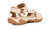 Coconut|Noix de coco|ALT
