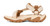Coconut|Noix de coco