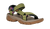 Iguana|Iguane|ALT