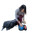 NO_COLOUR|NO_COLOUR|ALT