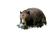 NO_COLOUR|NO_COLOUR|ALT