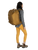 Brindle Brown|Brun bringé|ALT