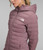 Fawn Grey|Gris fauve|ALT