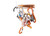 Orange/White|Orange/blanc|ALT