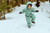 Mountain Sage Bear Necess|Sauge de montagne necessi|ALT