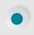 Ocean Teal|Sarcelle d’hiver|ALT