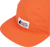 Amanita|Amanite|ALT