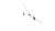 Pink|Rose|ALT