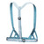 Cornflower Blue|Bleuet bleu|ALT