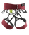 Beetroot|Betterave|ALT