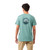 Dusty Aqua NHB|Dusty Aqua NHB|ALT