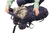 Forest Black|Forêt noire|ALT
