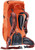 Papaya/Redwood|Papaye/séquoia