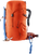 Papaya/Redwood|Papaye/séquoia|ALT