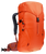 Papaya/Redwood|Papaye/séquoia|ALT