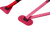 Raspberry|Framboise|ALT