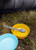 NO_COLOUR|NO_COLOUR|ALT