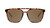 Glossy Tortoise Shell|Glossy Tortoise Shell|ALT