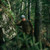 Dark Olive|Olive foncé