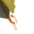 Warm Olive/Chinois Green|Olive chaud/Vert chinois|ALT