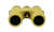 Banana Slug Yellow|Jaune de limace banane|ALT