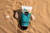 NO_COLOUR|NO_COLOUR|ALT