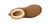 Chestnut|Châtaignier|ALT