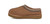 Chestnut|Châtaignier|ALT