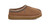 Chestnut|Châtaignier|ALT