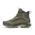 Olive|Olive|ALT