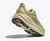 Grassland/Oyster Mushroom|