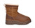 Chestnut|Châtaignier|ALT