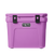 Desert Bloom|Desert Bloom|ALT