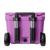 Desert Bloom|Desert Bloom|ALT