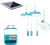 Teal|Sarcelle d’hiver|PRI