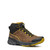 Brown/Sulphur|Brun/soufre|ALT