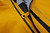 Goldenrod|Verge d'or|ALT