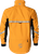 Goldenrod|Verge d'or|ALT