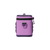 Desert Bloom|Desert Bloom|ALT