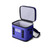 Ultramarine Violet|Violet outremer|ALT