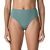 Blue Sage|Sauge bleue|ALT