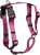 Plum|Prune|PRI