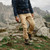 Fossil|Fossile|ALT