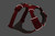 Red Canyon|Canyon Rouge|ALT