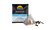 NO_COLOUR|NO_COLOUR|ALT