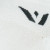 SWATCH|White|Blanc|None