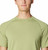 Light Cactus|Cactus clair|ALT